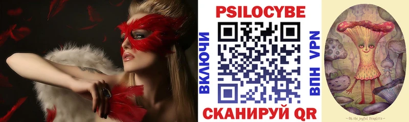 Галлюциногенные грибы Cubensis  Купить  Тамбов 